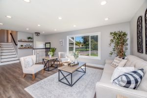 living-room-versatile-furniture-accent-decor