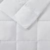 Goose Feather and Down Filling All Seasons Blanket- King