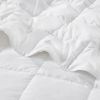 Goose Feather and Down Filling All Seasons Blanket- King