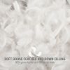 Goose Feather and Down Filling All Seasons Blanket- Full/Queen